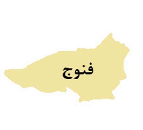 فنوج