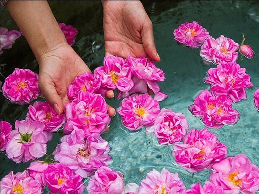 3 رویداد گردشگری سیستان و بلوچستان ثبت رسمی شد 